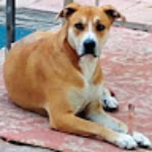 Meet your Posher, Lance